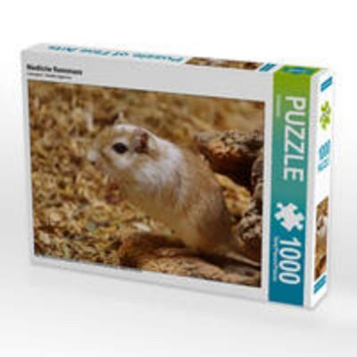 CALVENDO Puzzle Niedliche Rennmaus | 1000 Teile Lege-Größe 64x48cm Foto-Puzzle für glückliche Stunden