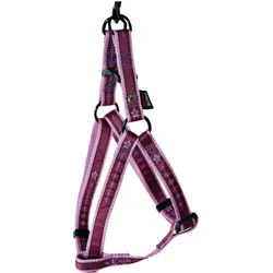 Martin Sellier Pets Connecti (S, Hund, Allgemein, Spazieren), Halsband + Leine