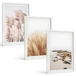 BILDER SET 3er Set - 40x60 cm Weißer Rahmen - Pampasgrasfelder und ein Boho-Strand