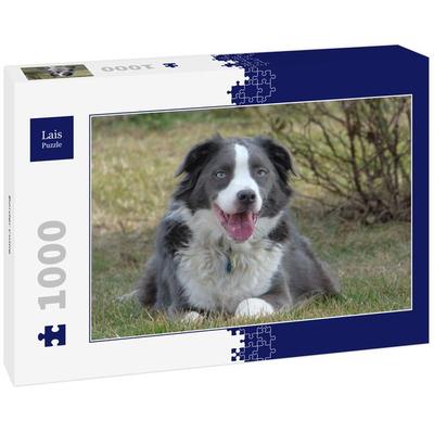 Lais Puzzle Border Collie 1000 Teile
