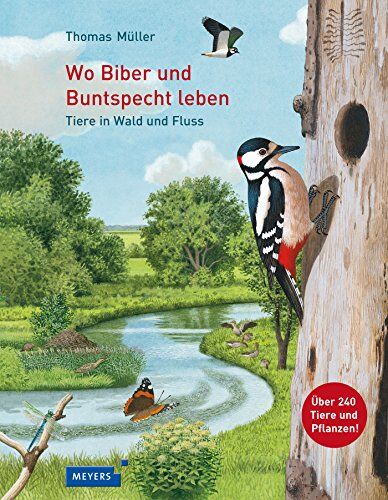 Thomas Müller - Wo Biber und Buntspecht leben: Tiere in Wald und Fluss - Preis vom 09.10.2026 07:28:09 h