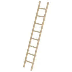 Sprossen-Anlegeleiter Holz ohne Traverse 8 Sprossen