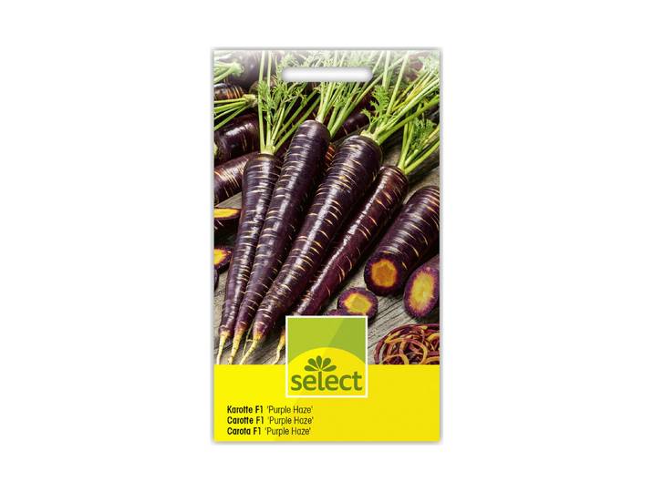 Select Karotte Purple Haze