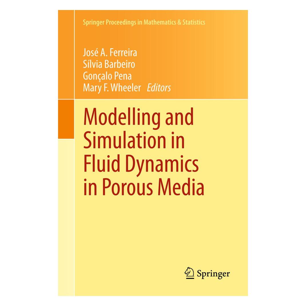 Springer Modelling and Simulation in Fluid Dynamics in Porous Media (Englisch, Softcover, Gonçalo Pena, José A. Ferreira, Mary F. Wheeler, Sílvia Barbeiro) (55591882)