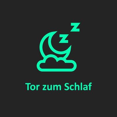 Tor zum Schlaf - Brigitte Holzinger, Audio, 4061707390142