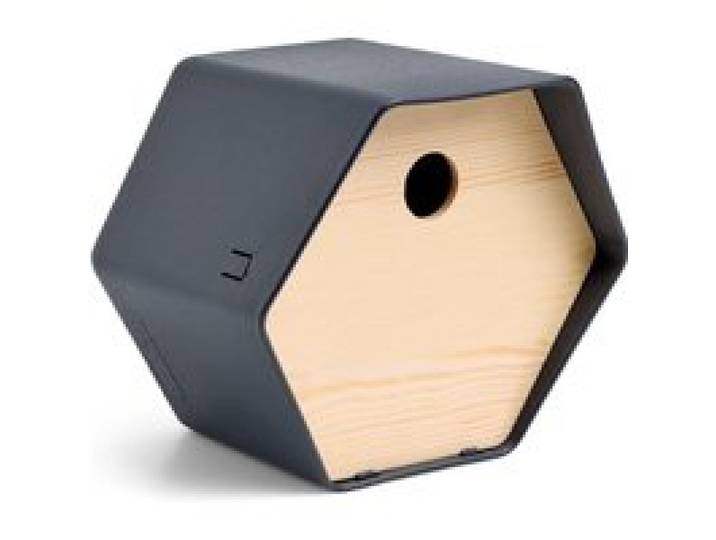 CAPI EUROPE Nichoir « Hive 1 » (anthracite)