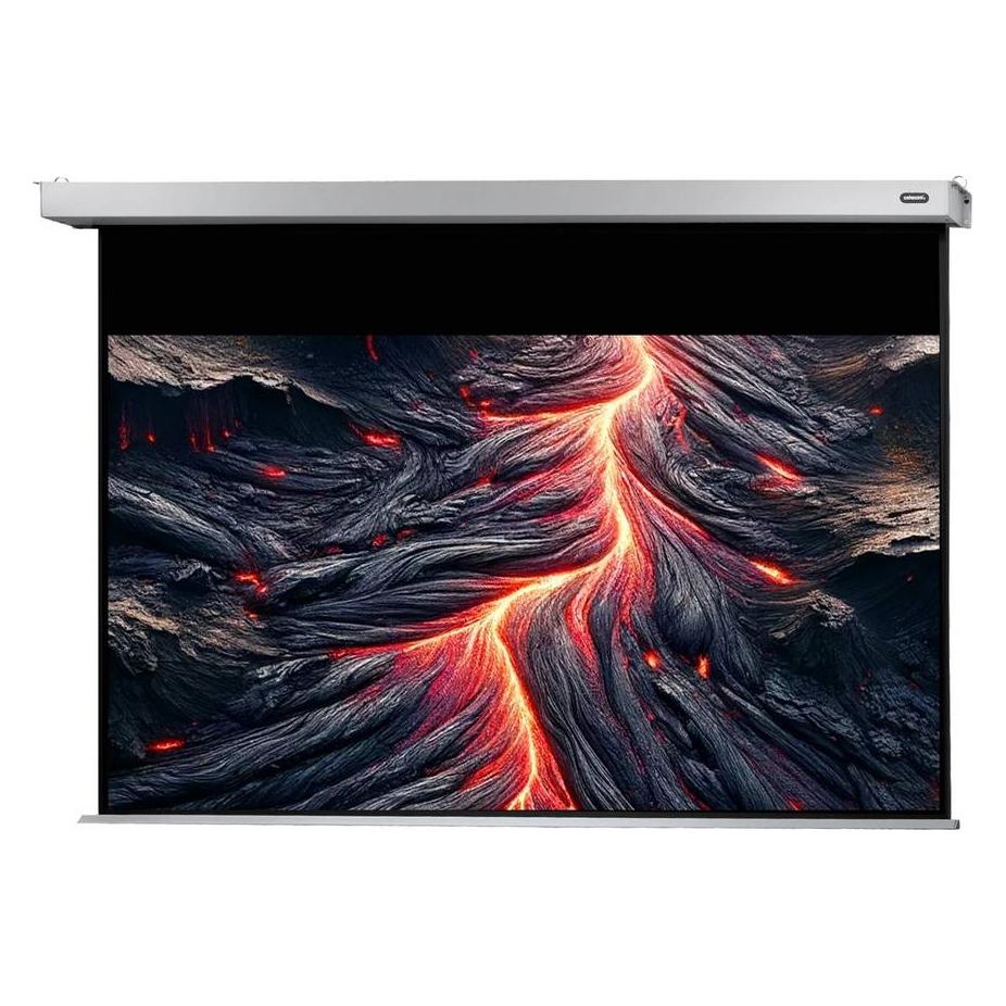 Celexon Motor Professional Plus (99", 16:9) (1090772)