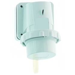 Bals Elektrotechnik 24216 24216 CEE Anbaustecker 32.0 A 3polig 110 V 1 St.