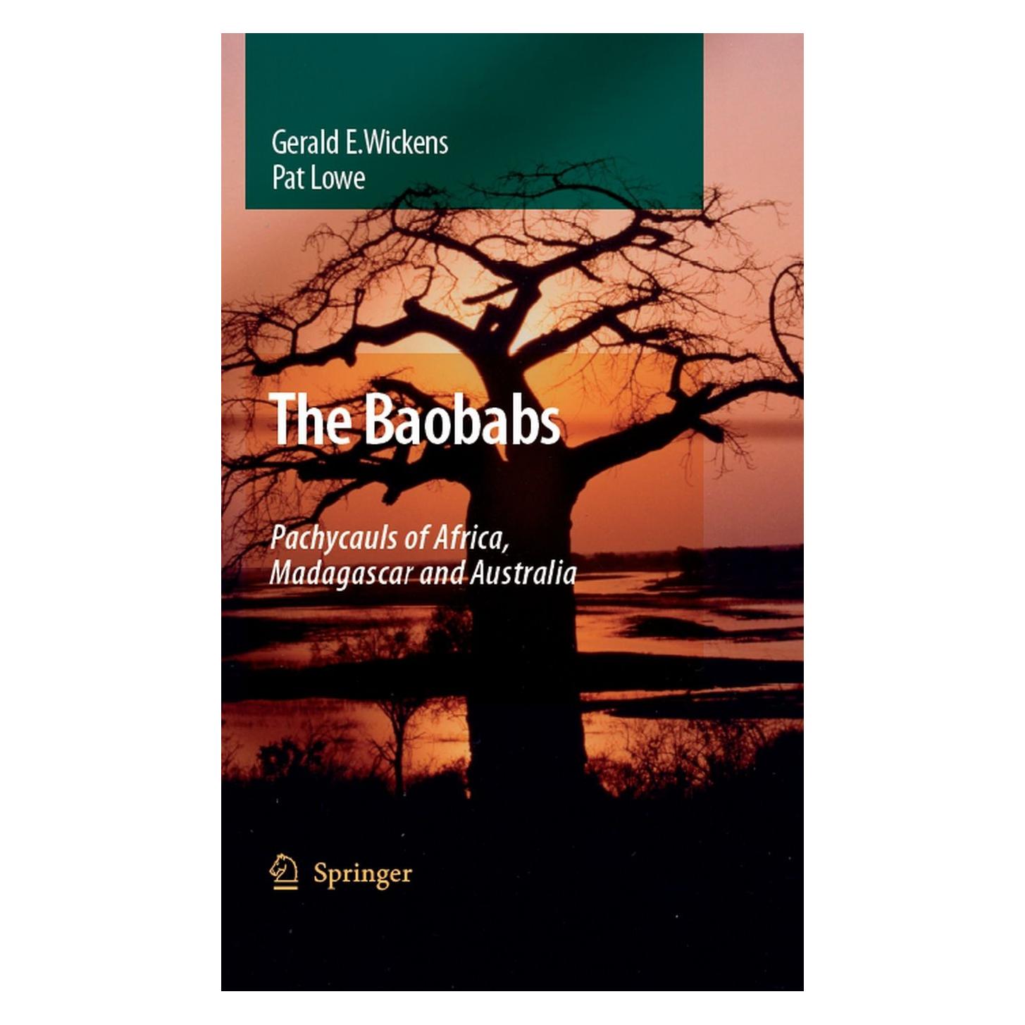 Springer The Baobabs: Pachycauls of Africa, Madagascar and Australia (Englisch, Hardcover, G. E. Wickens, Gerald E. Wickens) (9781402064302)