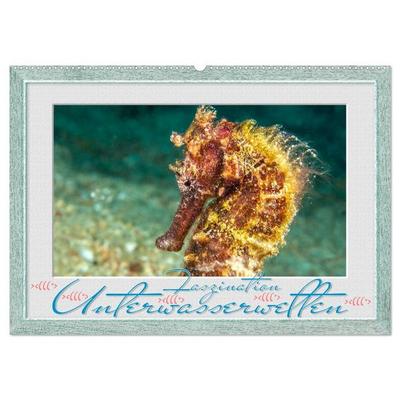Faszination Unterwasserwelten (Wandkalender 2026 DIN A2 quer), CALVENDO Monatskalender