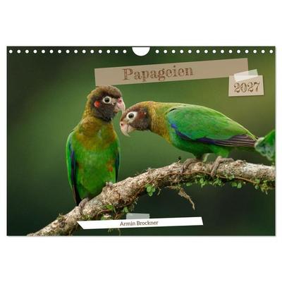 Papageien (Wandkalender 2027 DIN A4 quer), CALVENDO Monatskalender