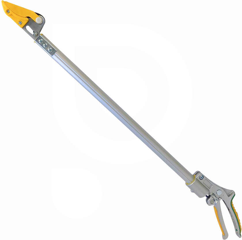 Ama Forbice ad asta lunga per asparagi - 700 mm