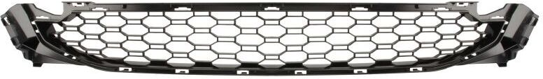 BLIC 6502-07-0097910MP Grille
