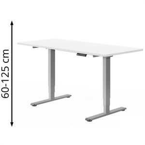 FlexiSpot Schreibtisch E5S, weiß / grau, elektrisch höhenverstellbar, 160 x 60-125 x 80 cm