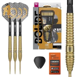 Target Bolide Envy 03 Swiss Points Steeldarts