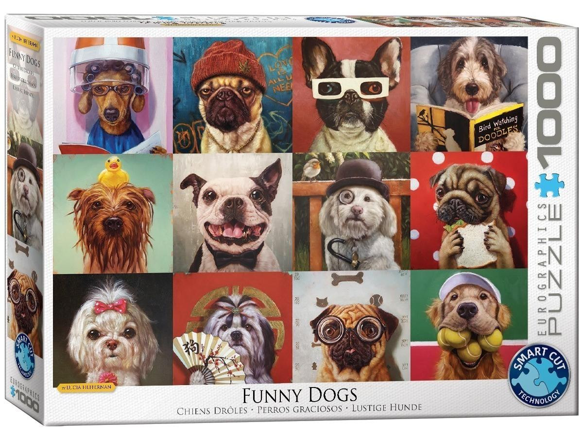 Eurographics Grappige honden van Lucia Heffernan poster