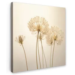 LEINWANDBILD Sonnenlicht - Löwenzahn - Botanisch - Blumen Wandbild Wohnzimmer 50x50 cm