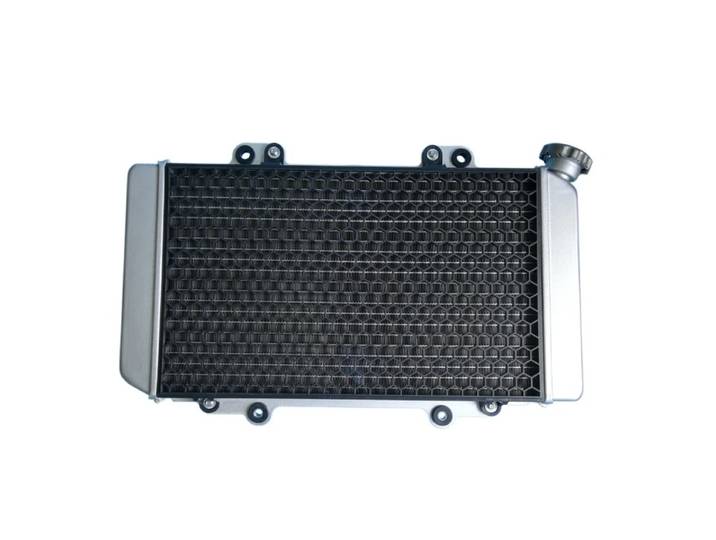 Radiateur de refroidissement avec ventilateur pour Hisun 500 700 HS500 HS700 ATV Quad 19202-107-0000 19230-058-0000 HS