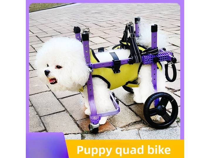 Fauteuil roulant durable à quatre roues pour chien, aide à la marche pour la rééducation de la paralysie et des handicapes