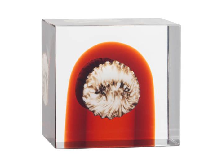 Iittala Iittala Jahreswürfel 2026