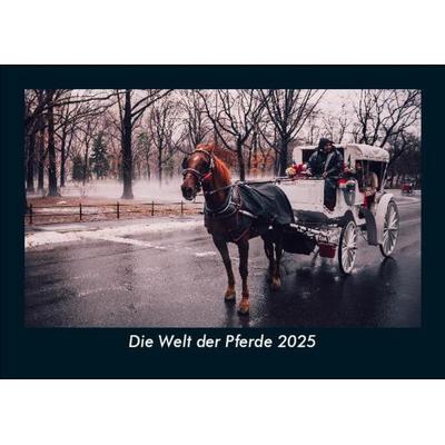 Die Welt der Pferde 2025 Fotokalender DIN A5