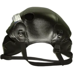 Bagster, Motorrad Zubehör, motorrad-tankschutz thunderbird 900