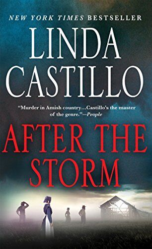 Linda Castillo - After the Storm (Kate Burkholder Novels) - Preis vom 17.10.2026 19:25:27 h