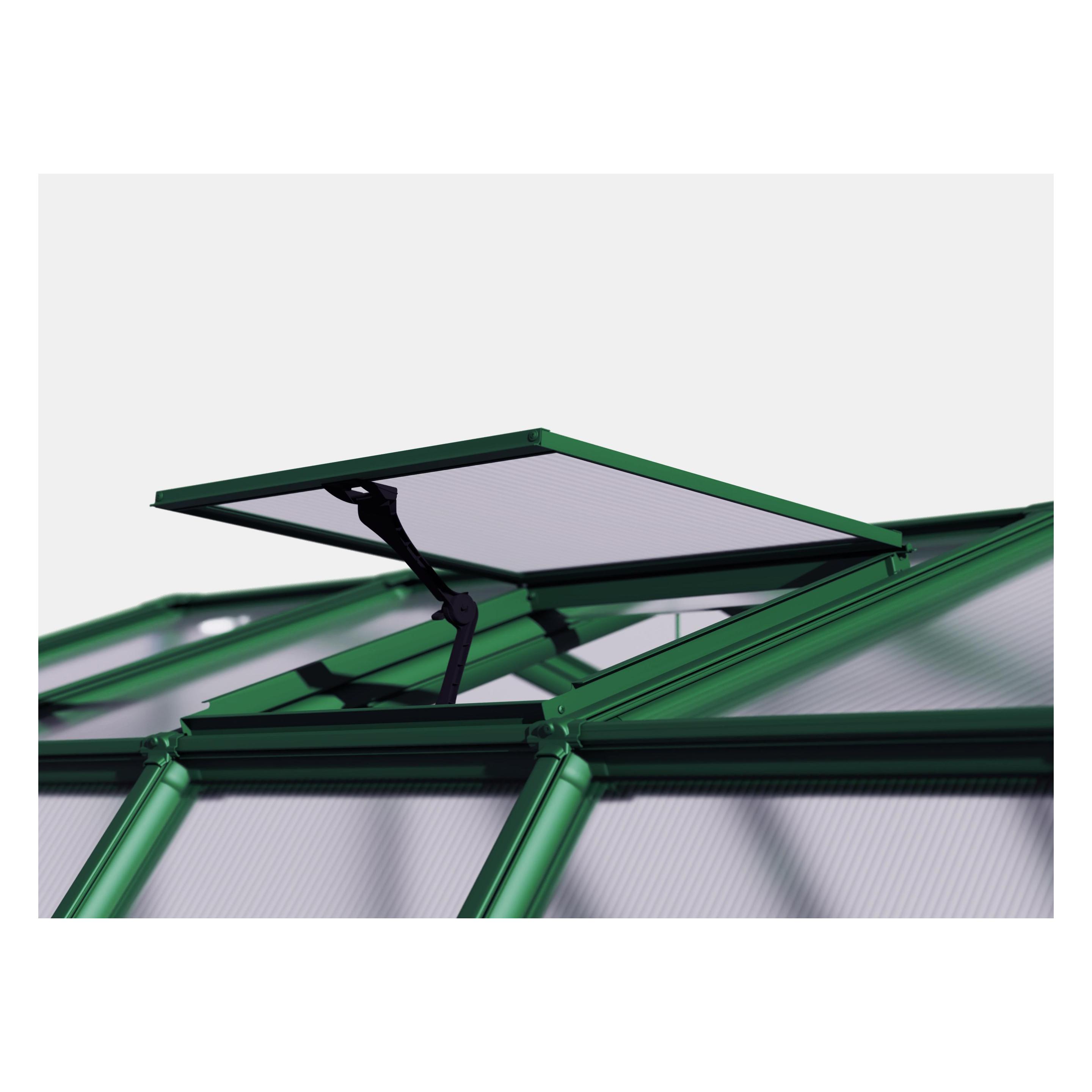RION Dachfenster Grand Gardener, Prestige (20811047)