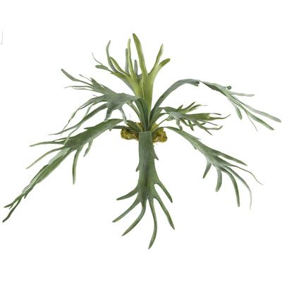 Kunstpflanze CREATIV GREEN "Geweihfarn", grün, H:80cm, Kunststoff, Kunstpflanzen, Kunstpflanze, mit 12 Farnwedeln
