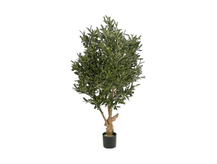 Lebensechte Kunstpflanze „Olivenbaum Branched“, Höhe 120 cm Grün Baq Design