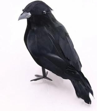 Inspire Essentials Realistic Black Crow Halloween Decoration Feather Raven Prop b