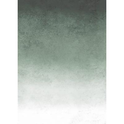 Fototapete ART FOR THE HOME "Faded", grün, B:2m L:2,8m, Vlies, Tapeten, Verblasster Beton 280x200 cm