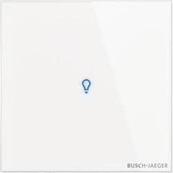 Busch-Jaeger KNX 2CKA006300A1641 Bediengerät TB/U1-CG