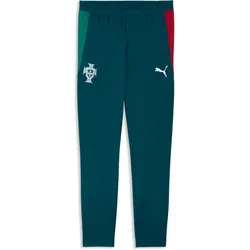 Puma, Herren, Sporthose, FPF Training Pants w/ pockets (S), Türkis, Blau