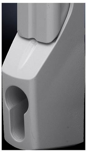 Rittal TS 8611.340 Komfortgriff für Profilhalbzylinder Nickel (matt) 1St.