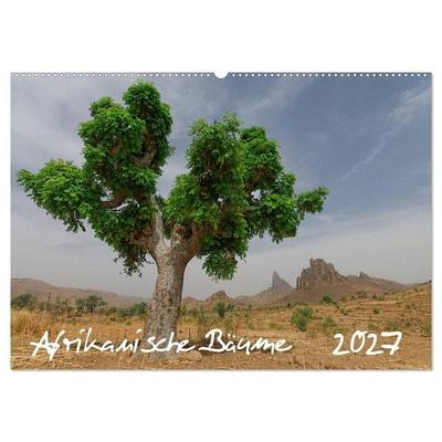 Afrikanische Bäume (Wandkalender 2027 DIN A2 quer), CALVENDO Monatskalender