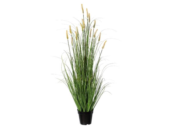 Kunstpflanzen Pennisetum im Topf H: 120 cm Gasper
