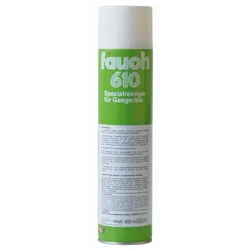Sanit Fauch 610 Spraydose 8060 600 ml