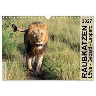 Raubkatzen - Löwe, Gepard, Leopard (Wandkalender 2027 DIN A4 quer), CALVENDO Monatskalender