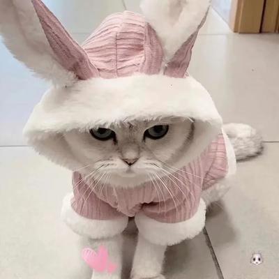 Uplift Essentials Ultra Soft Cozy Autumn & Winter Pet Sweater l