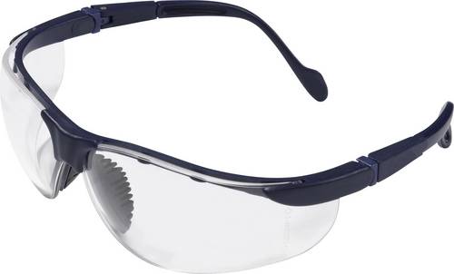 Protectionworld 2012010 Schutzbrille Schwarz