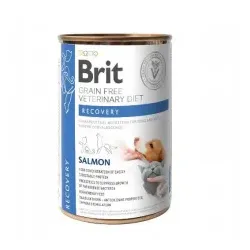 BRIT GF Veterinary Diets Recovery Salmon 400g - Nassfutter für Hunde und Katzen