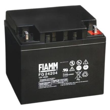 Fiamm Lead Acid Battery 12V 42Ah (12 V) (FG24204)
