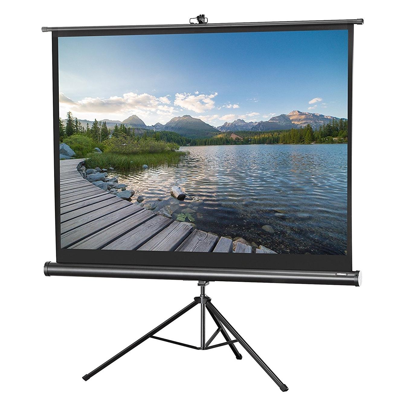 Celexon Eco Stativ, Leinwand, 4:3 (104.33", 4:3) (1090020)