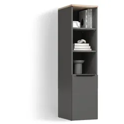 UNIVERSALSCHRANK Piave Anthrazit/Sonoma mit einer Tür