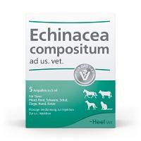 ECHINACEA COMPOSITUM ad us.vet.Ampullen 5 St