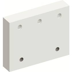 Striebel & John 2CPX044018R9999 ZX148 Iso-Platte Sammelschienenende Platte Kunststoff 1 St.