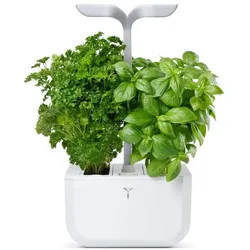 Véritable, Blumentopf, Töpfe EXKSY SMART weiss (18.20 x 20 x 37.10 cm)