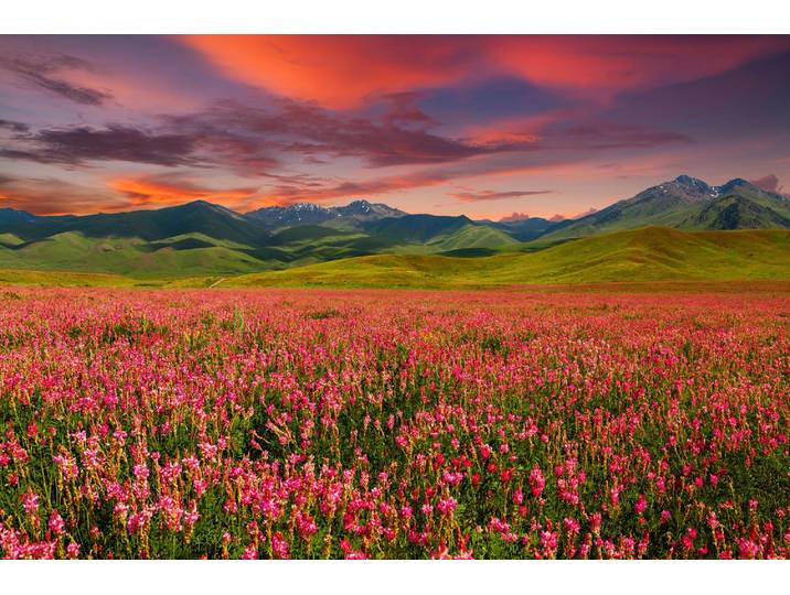 Papermoon GEBIRGE-FELD BLUMEN BERGE WIESE SONNE WALD FLUSS WOLKEN
