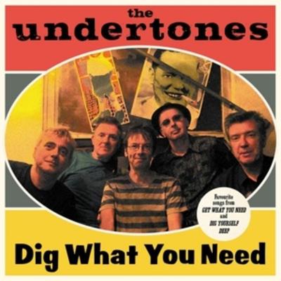 Dig What You Need (Best Of 2003-2007) - The Undertones, Vinyl